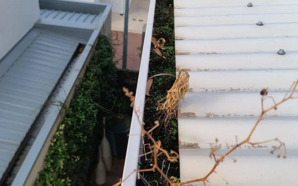 Blocked Perth gutter with weeds and debris growing out of it